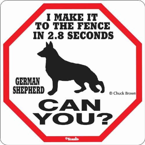 german shepherd gift ideas