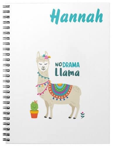 42 Perfect Gifts for Llama Lovers