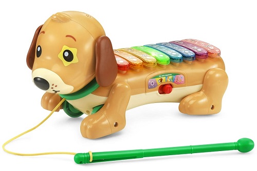 VTech Zoo Jamz Doggy Xylophone