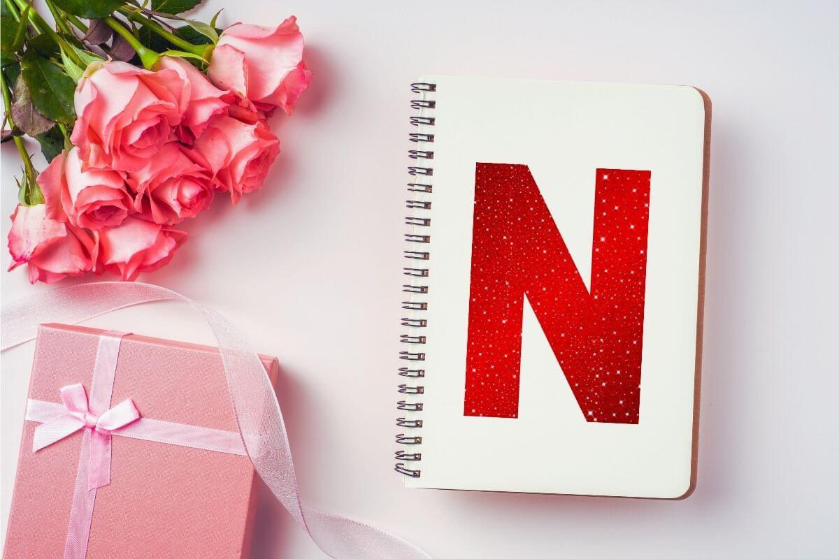 Gifts Starting With N Letter N Gift Guide