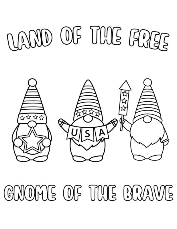 Land of The Free Gnome of The Brave