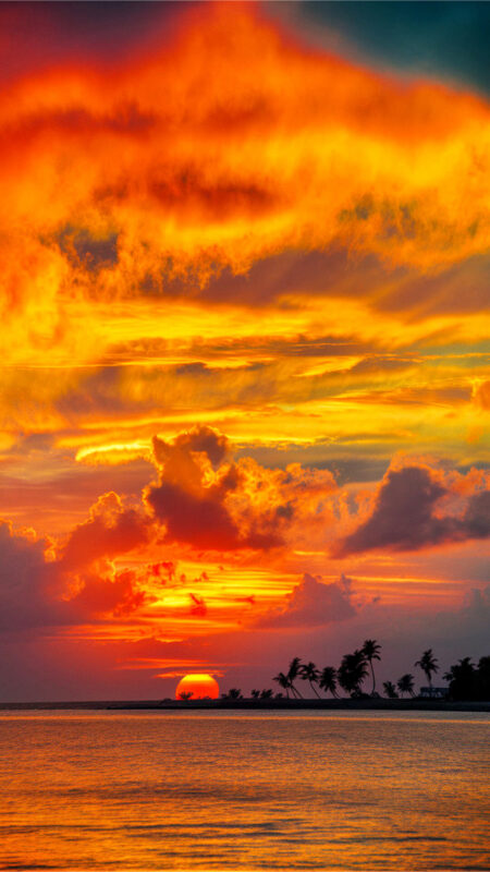 Summer Sunset in Tropical Paradise Phone Wallpaper