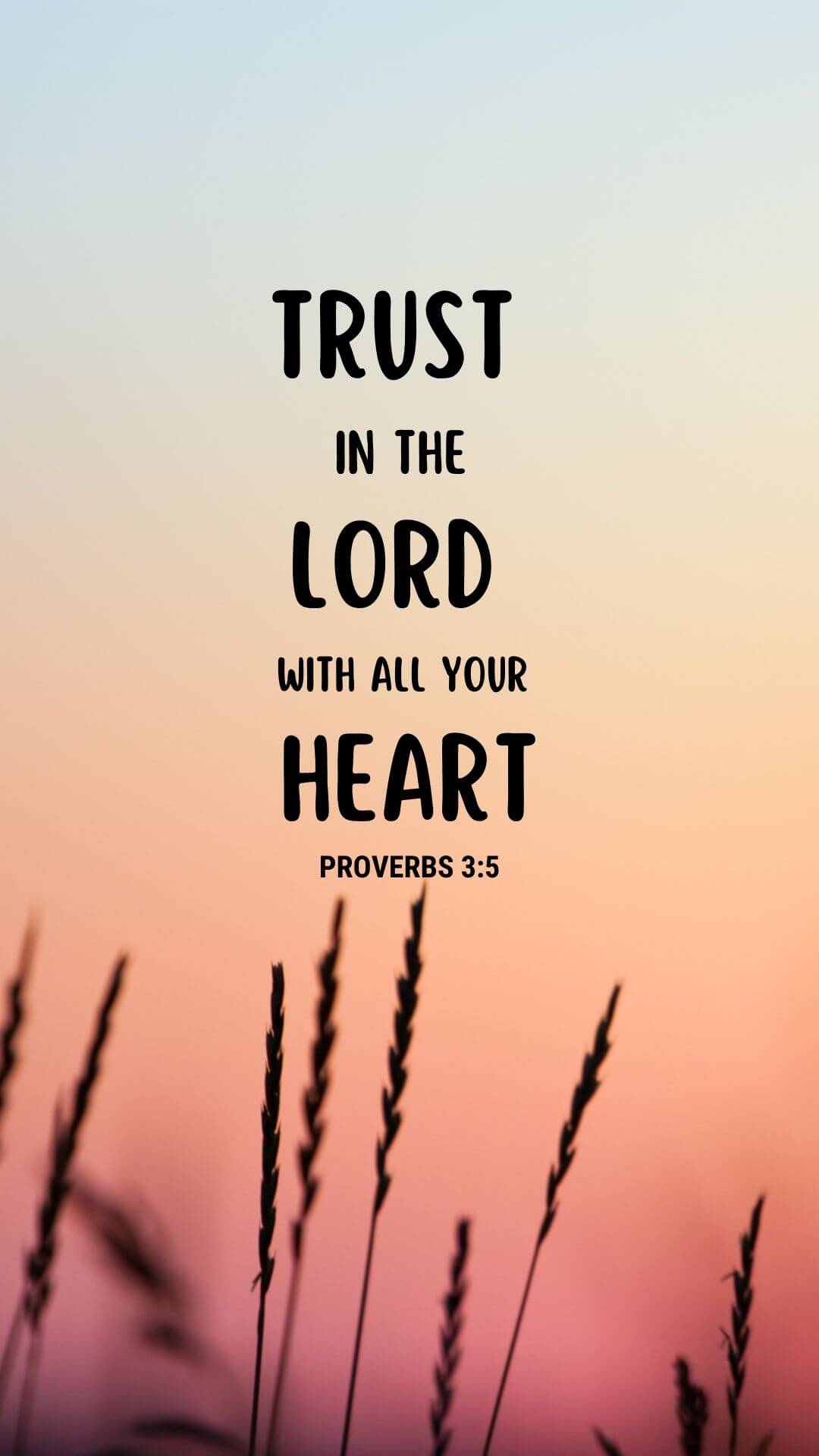 Proverbs 3:5