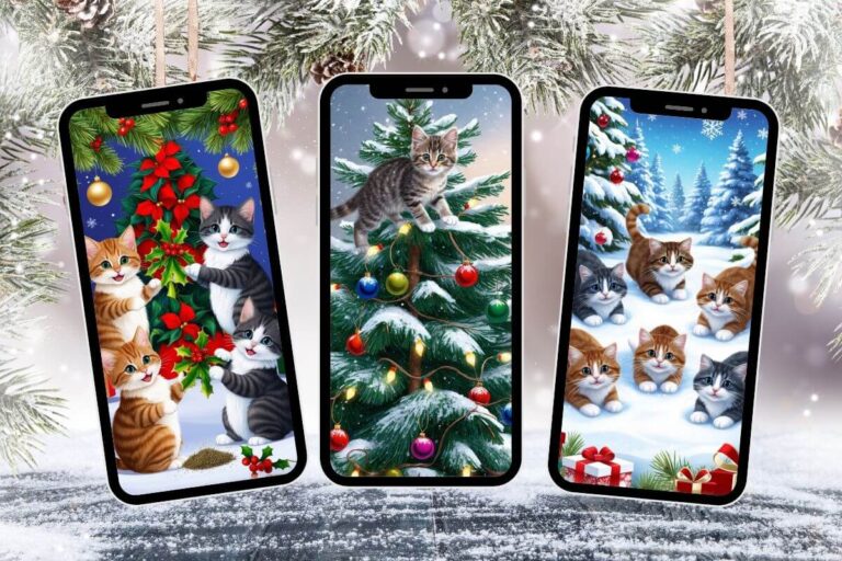 Christmas Cat Phone Wallpapers ft